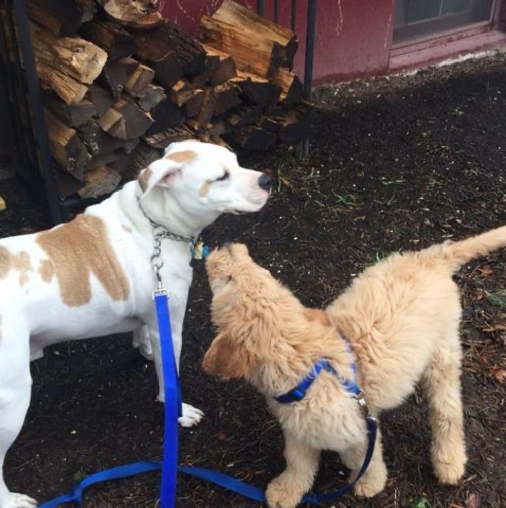 Meet your Posher, Loretta